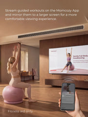 Maternity Piilow & BirthEase Maternity Ball Bundle
